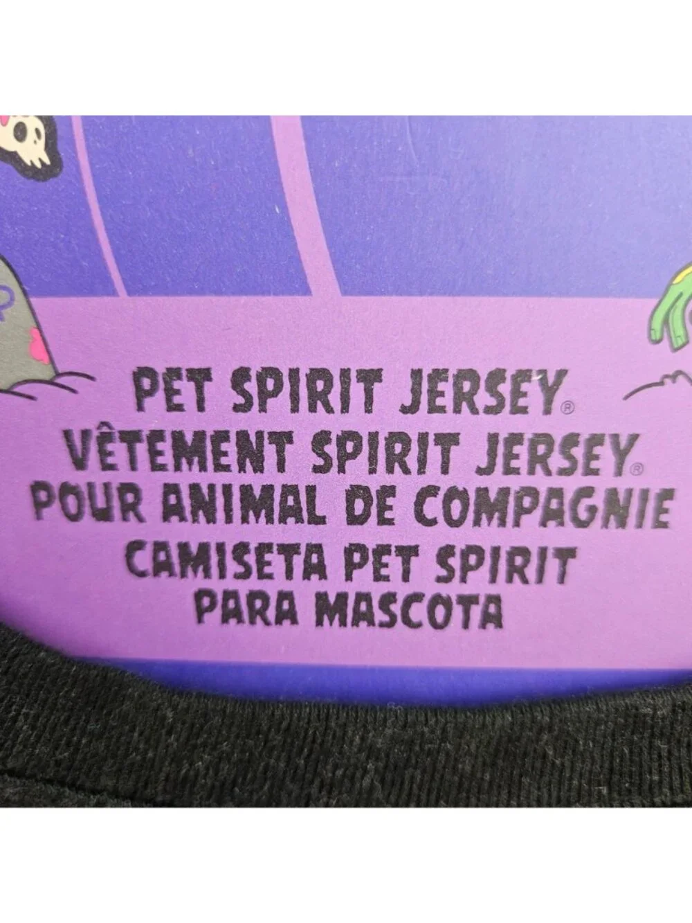 Disney pet spirit